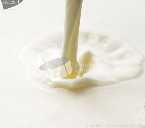 Image of milk