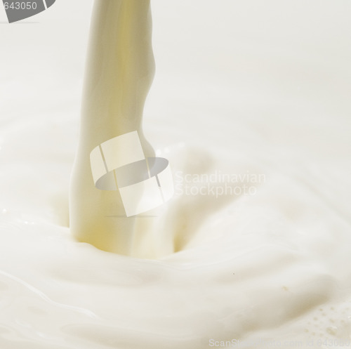 Image of milk