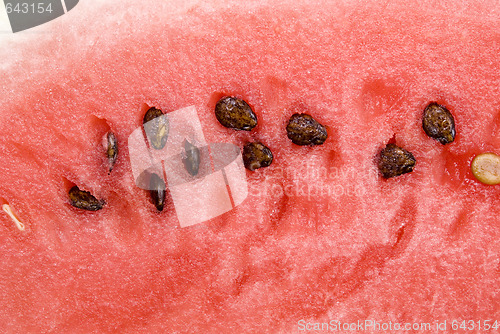 Image of watermelon