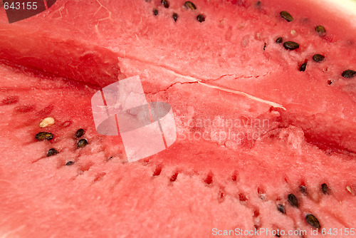Image of watermelon