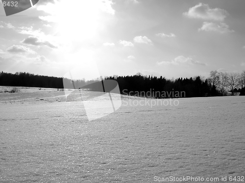 Image of Winter landscape