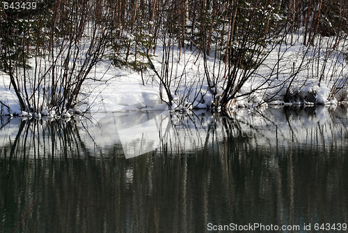 Image of Small lake in winter