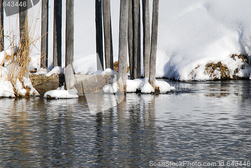 Image of Small lake in winter