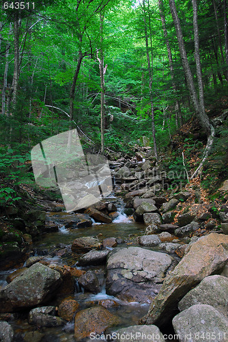 Image of Small water falls