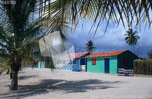 Image of Saona island village and palm trees- Dominican republic