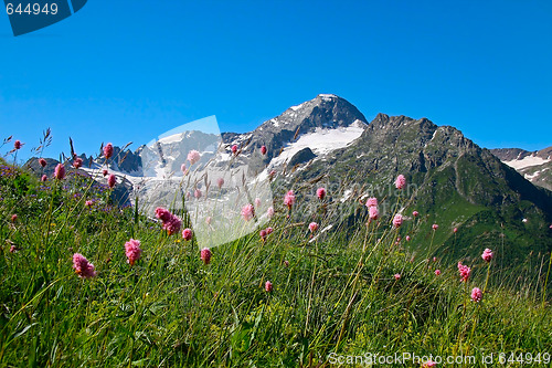 Image of Mountains