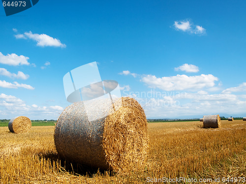 Image of Countryside landscape with bales of hay