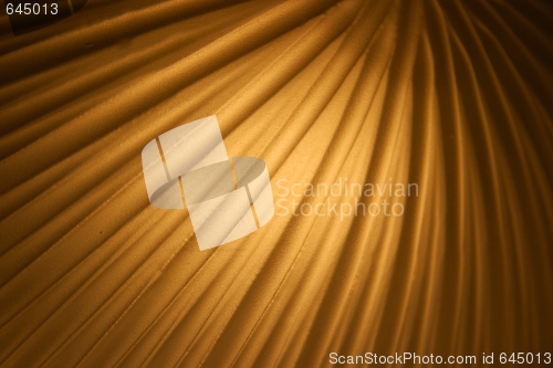 Image of Background