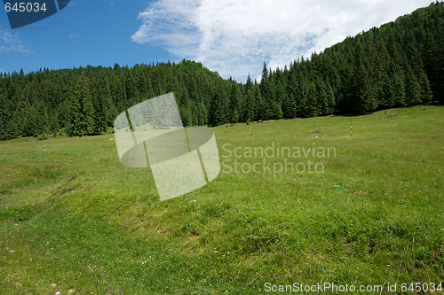 Image of Hills and forest