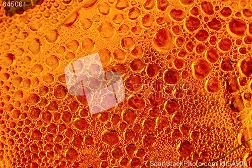 Image of Bubbles