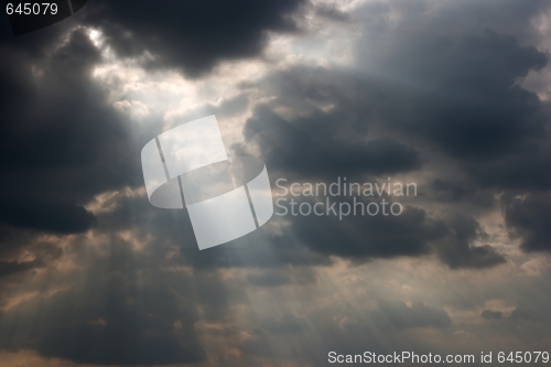 Image of Rays