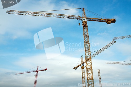 Image of Cranes