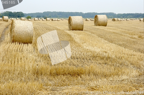 Image of Agriculture