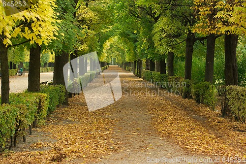 Image of Autumn Park