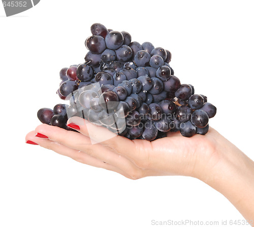 Image of grape bunch