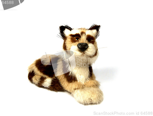 Image of Mini Tiger