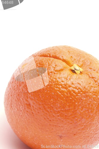 Image of navel orange