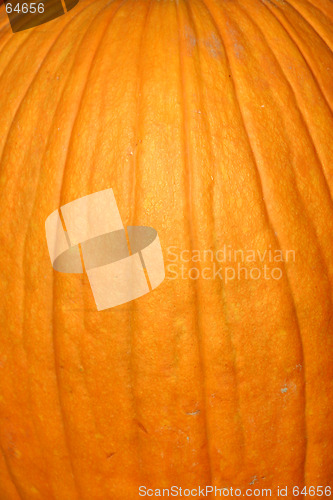 Image of Up Close - Pumpkin