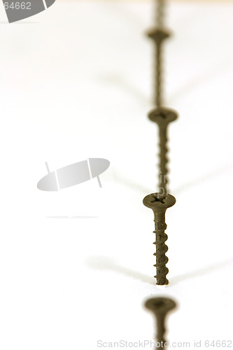 Image of Screws in Line