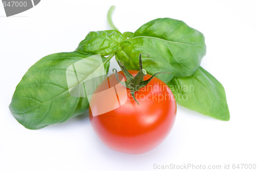 Image of Tomato and Basil