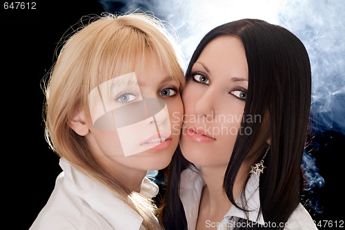 Image of Portrait of the beautiful young blonde and brunette