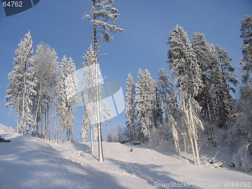 Image of winter landscape