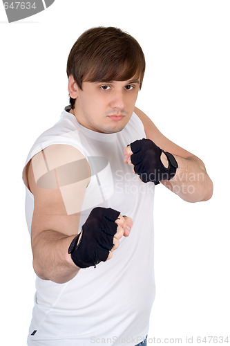 Image of Portrait of the fighter. Isolated on white background