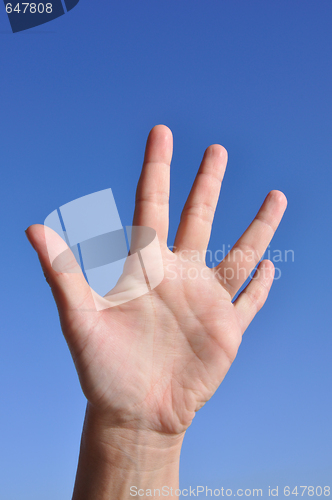 Image of Woman hand- five fingers open