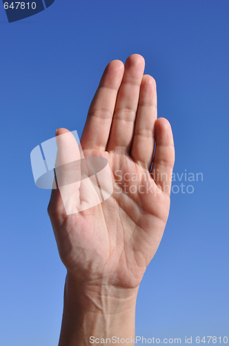 Image of Woman hand  - five fingers close