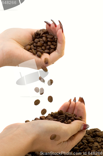 Image of Female hands and coffee