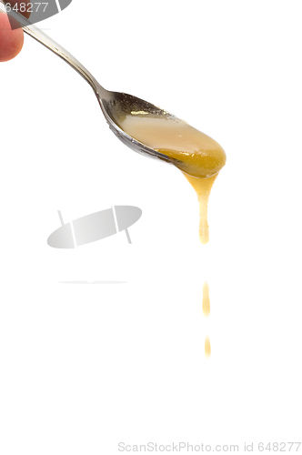 Image of Honey drip from spoon