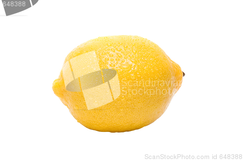 Image of Lemon
