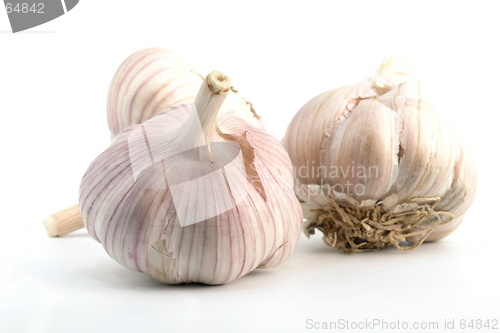 Image of garlic