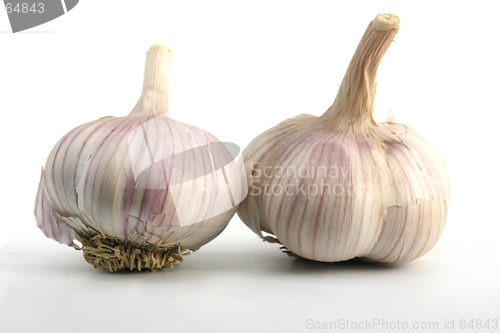 Image of garlic