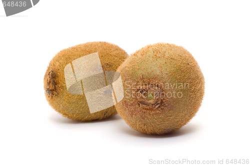 Image of Kiwi