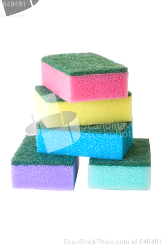 Image of Sponges