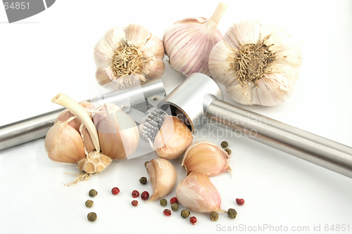 Image of garlic