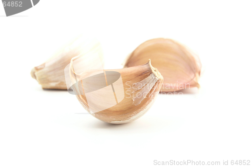 Image of garlic