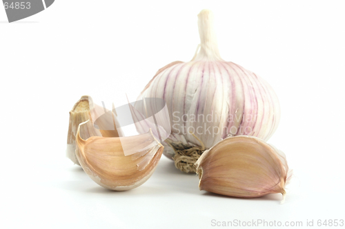 Image of garlic