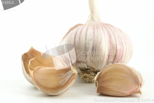 Image of garlic