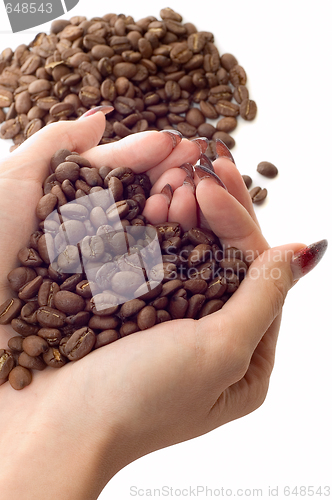 Image of Female hands and coffee beans