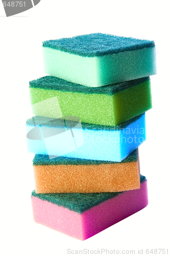 Image of Sponges