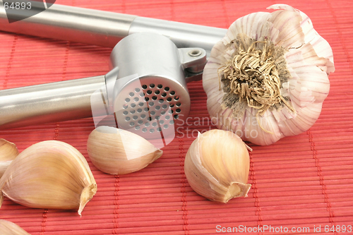 Image of garlic