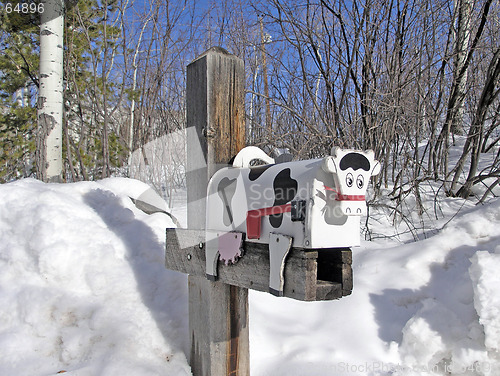 Image of cow mail box