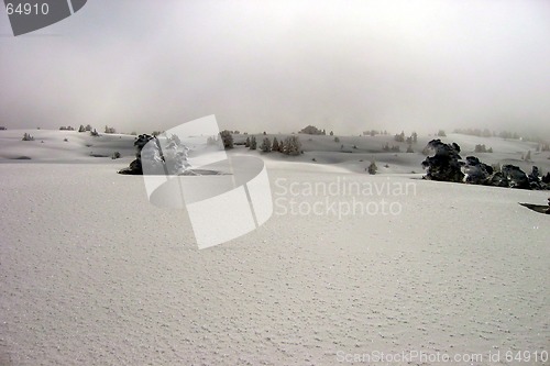 Image of snow landscape