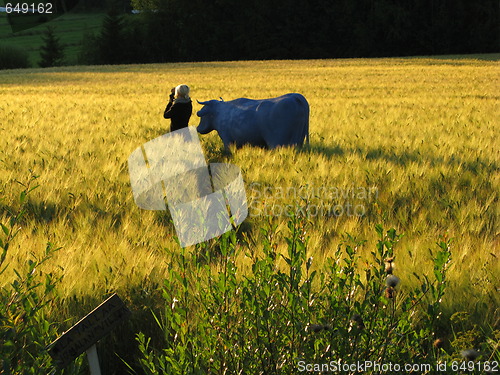 Image of cow on field