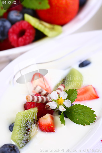 Image of White yogurt