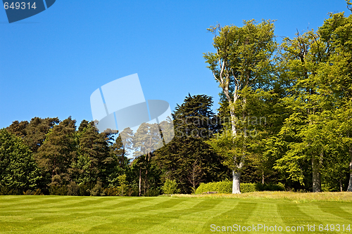 Image of Striped lawn