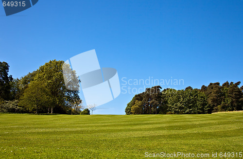 Image of Striped lawn
