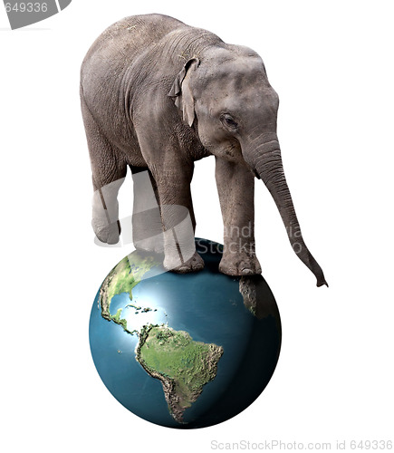 Image of Elephant and Earth